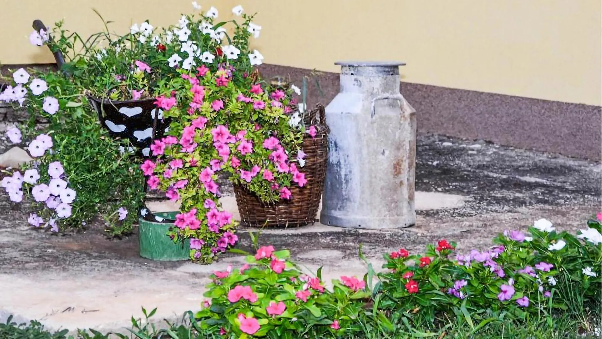 Beautiful Apartment In Sveti Filip I Jakov